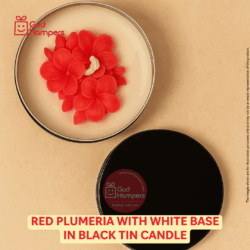 Red Plumeria with White Base iN Black Tin Candle